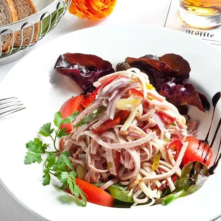 Hotel Hotel-gasthof Roessle